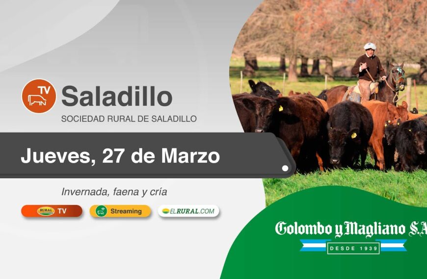 Colombo y Magliano S.A. | Sociedad Rural de Saladillo, Buenos Aires | Próximo Remate Feria el Jueves, 27 de marzo de 2025 – 10 am