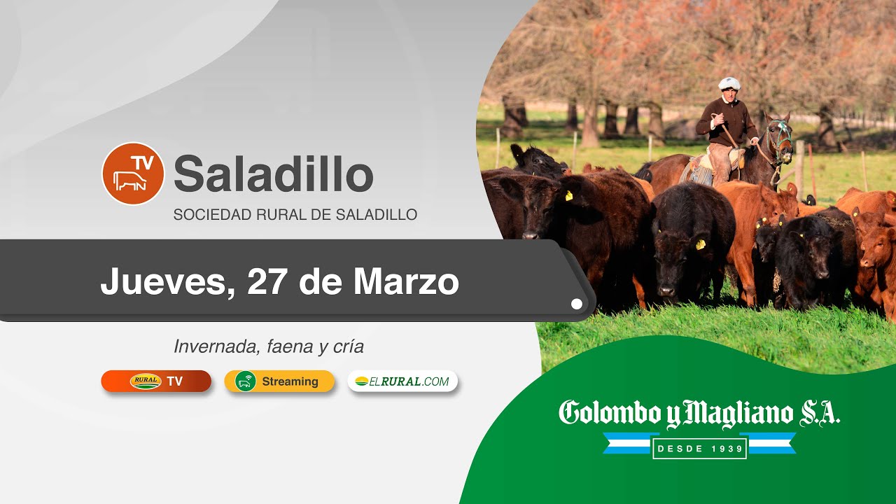 Colombo y Magliano S.A. | Sociedad Rural de Saladillo, Buenos Aires | Próximo Remate Feria el Jueves, 27 de marzo de 2025 – 10 am