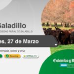 Colombo y Magliano S.A. | Sociedad Rural de Saladillo, Buenos Aires | Próximo Remate Feria el Jueves, 27 de marzo de 2025 – 14:30 hs