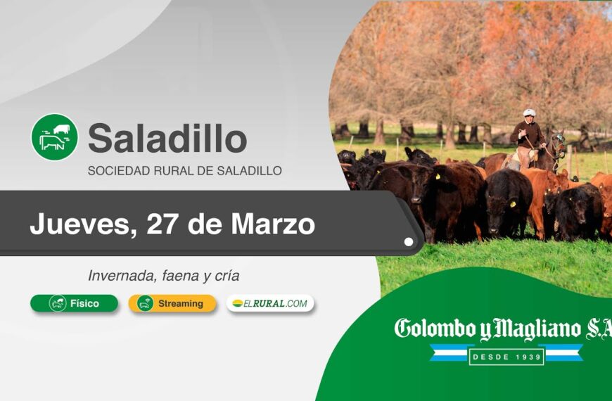 Colombo y Magliano S.A. | Sociedad Rural de Saladillo, Buenos Aires | Próximo Remate Feria el Jueves, 27 de marzo de 2025 – 14:30 hs