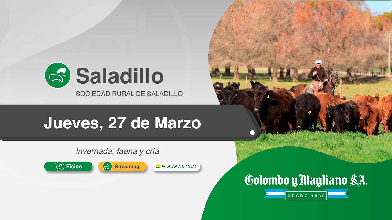 Colombo y Magliano S.A. | Sociedad Rural de Saladillo, Buenos Aires | Próximo Remate Feria el Jueves, 27 de marzo de 2025 – 14:30 hs