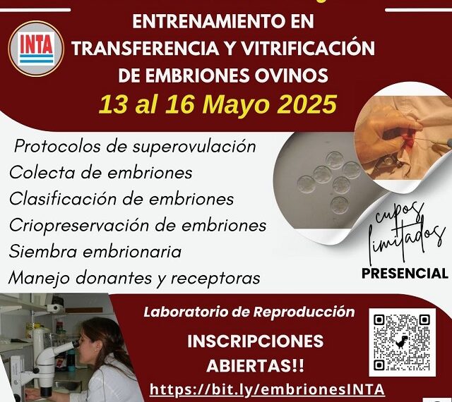 Entrenamiento en Transferencia y Vitrificación de Embriones Ovinos en INTA Bariloche