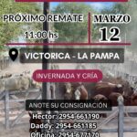 Ganaderos de Elordi S.A. | Victorica, La Pampa | Próximo Remate Feria el miércoles 12 de marzo 2025