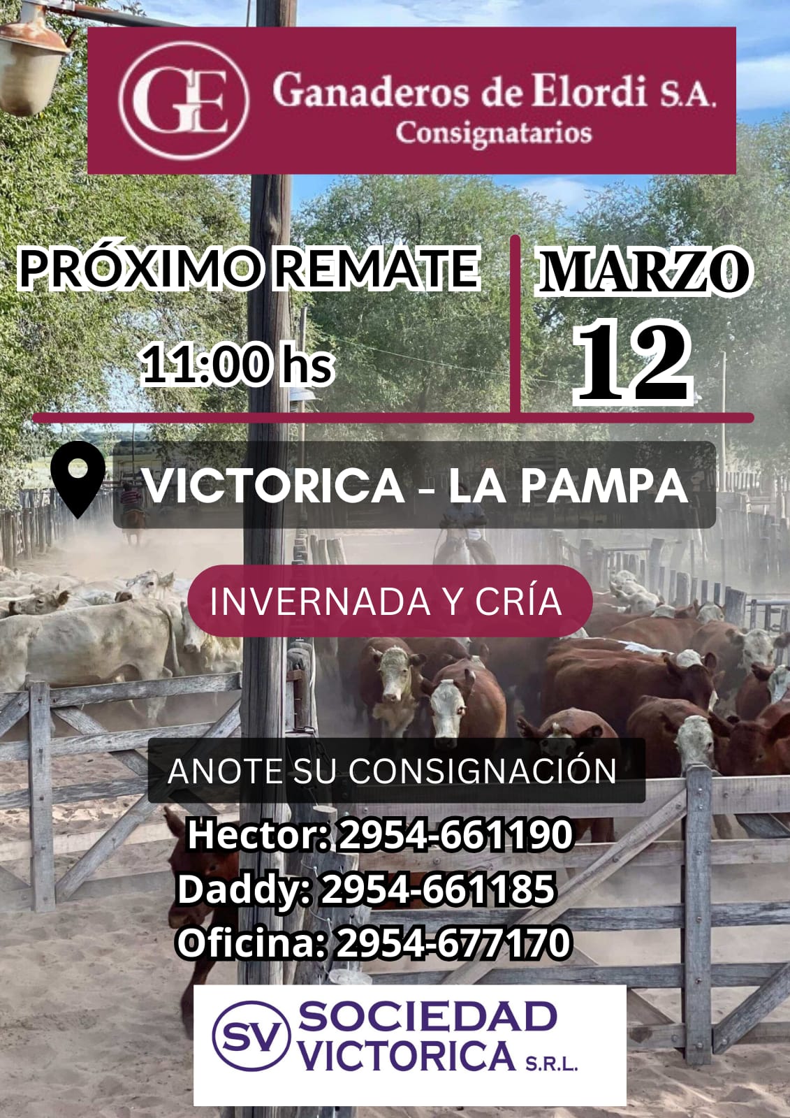 Ganaderos de Elordi S.A. | Victorica, La Pampa | Próximo Remate Feria el miércoles 12 de marzo 2025