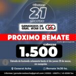 Ganadera | Gral. Acha | Próximo Remate Feria el Viernes 21 de marzo 2025