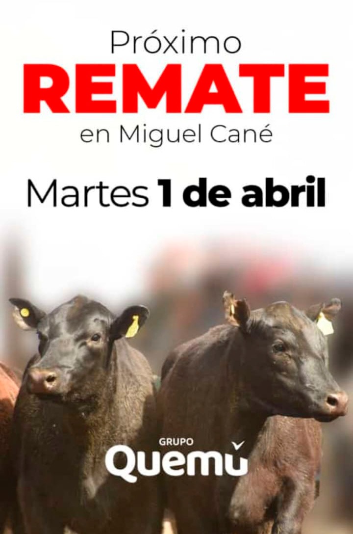 Grupo Quemú | Miguel Cané | Próximo Remate Feria el Martes 1 de abril de 2025