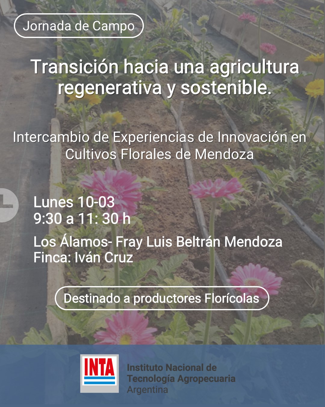 Jornada de Campo: Innovación y Sustentabilidad en Cultivos Florales