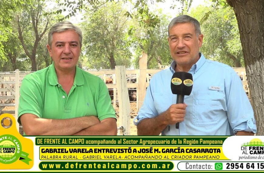 Entrevista: Gabriel Varela conversó con José Casarrota sobre la zafra del ternero pampeano