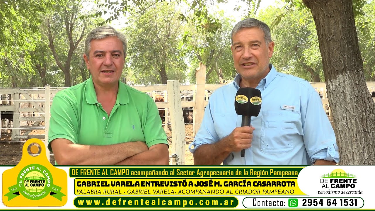 Entrevista: Gabriel Varela conversó con José Casarrota sobre la zafra del ternero pampeano