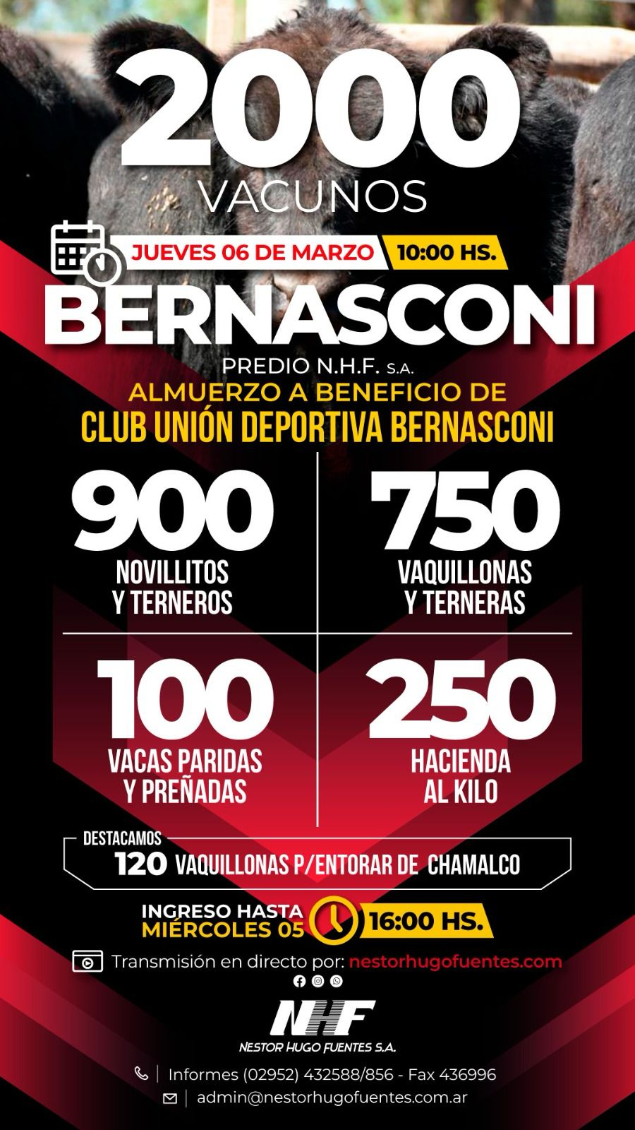 Néstor Hugo Fuentes S.A. | Bernasconi | Próximo Remate Feria el Jueves 06 de marzo 2025