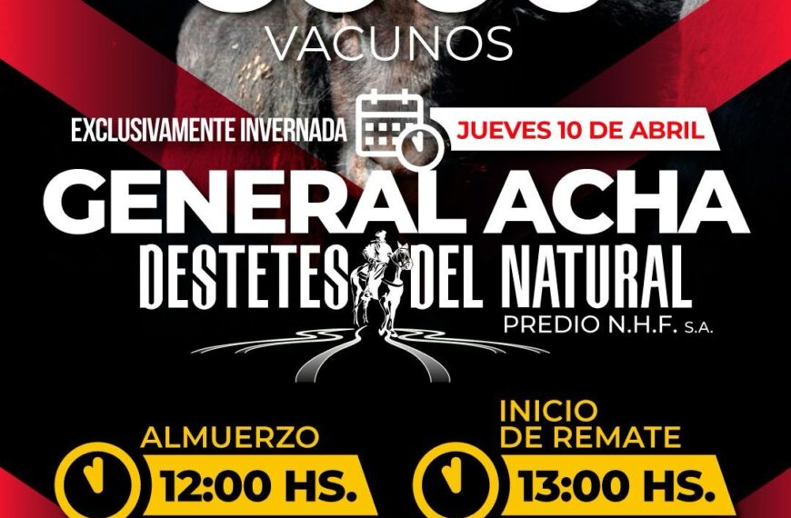 Néstor Hugo Fuentes S.A. | General Acha | Próximo Remate Feria el Jueves 10 de Abril 2025