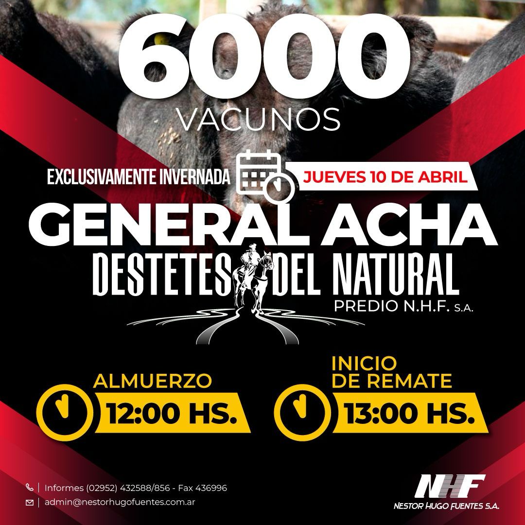 Destetes del Natural | Néstor Hugo Fuentes S.A. | General Acha | Próximo Remate Feria el Jueves 10 de Abril 2025