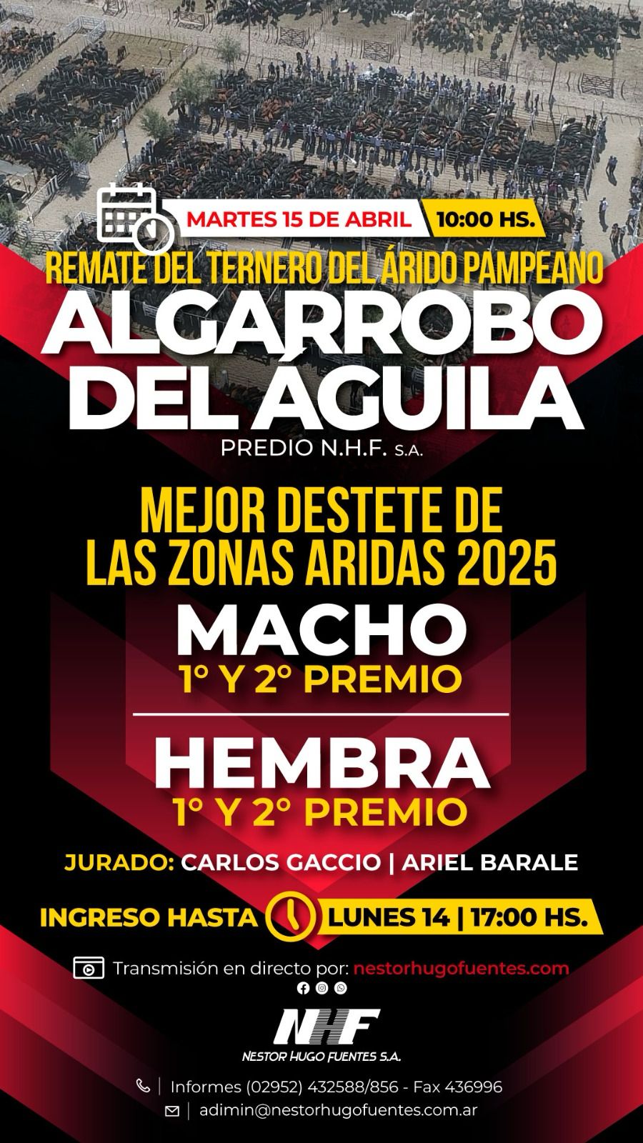 Néstor Hugo Fuentes S.A. | Algarrobo del Águila | Próximo Remate Feria el Martes 15 de abril 2025