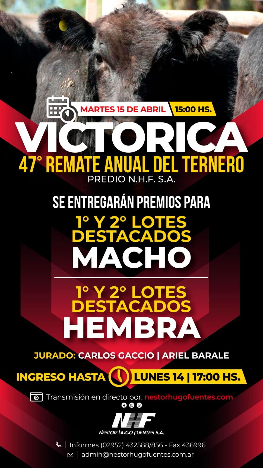 Néstor Hugo Fuentes S.A. | Victorica | Próximo Remate Feria el Martes 15 de abril 2025