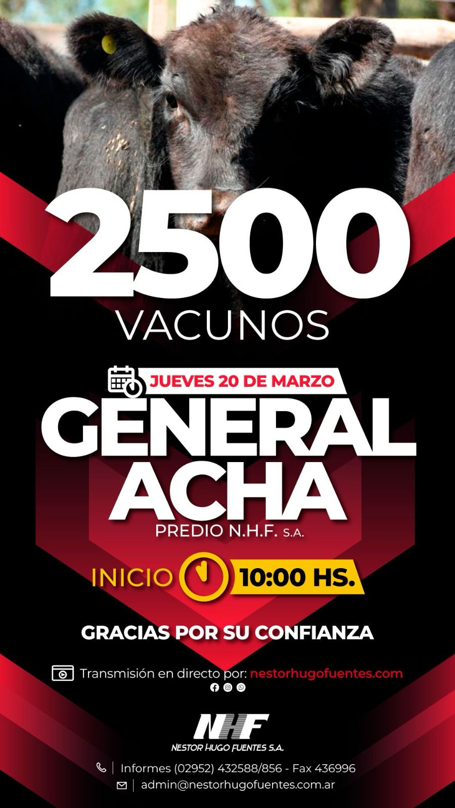 Néstor Hugo Fuentes S.A. | General Acha | Próximo Remate Feria el Jueves 20 de marzo 2025