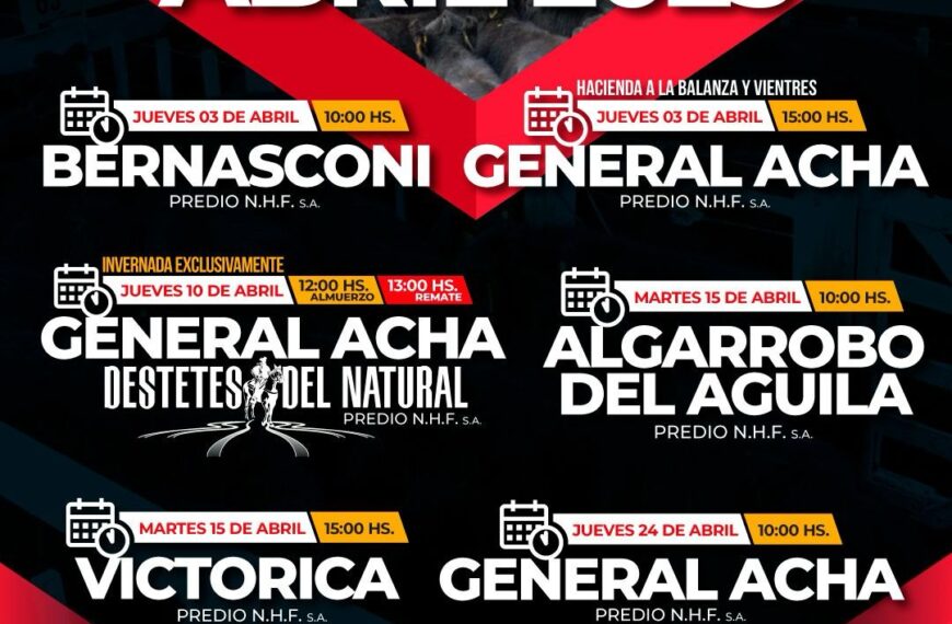 Néstor Hugo Fuentes S.A. | General Acha | Próximo Remate Feria el Jueves 24 de abril 2025