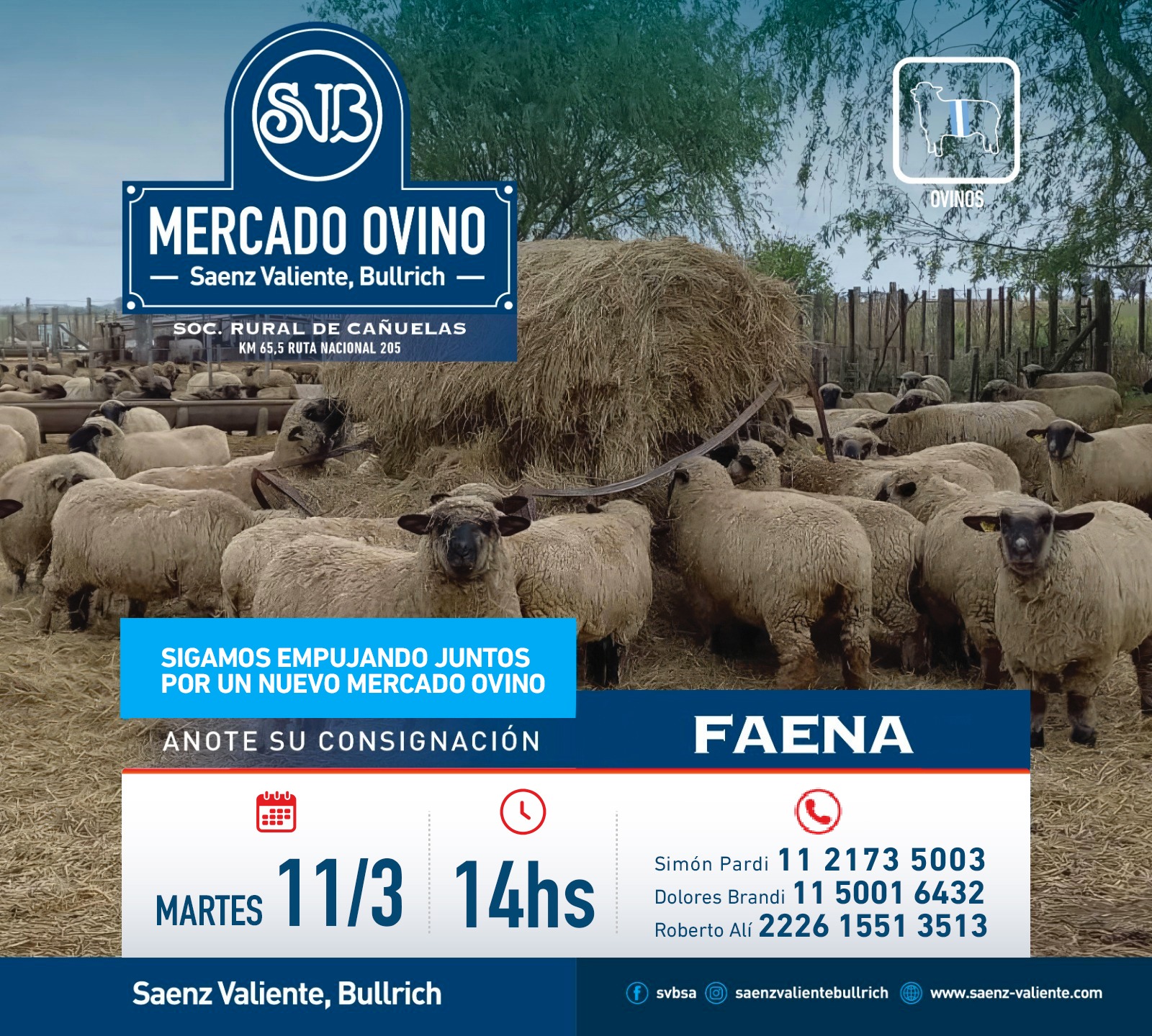 Saenz Valiente, Bullrich – Mercado Ovino | Sociedad Rural de Cañuelas, Bs. As.  | Próximo Remate Feria el martes 11 de marzo de 2025