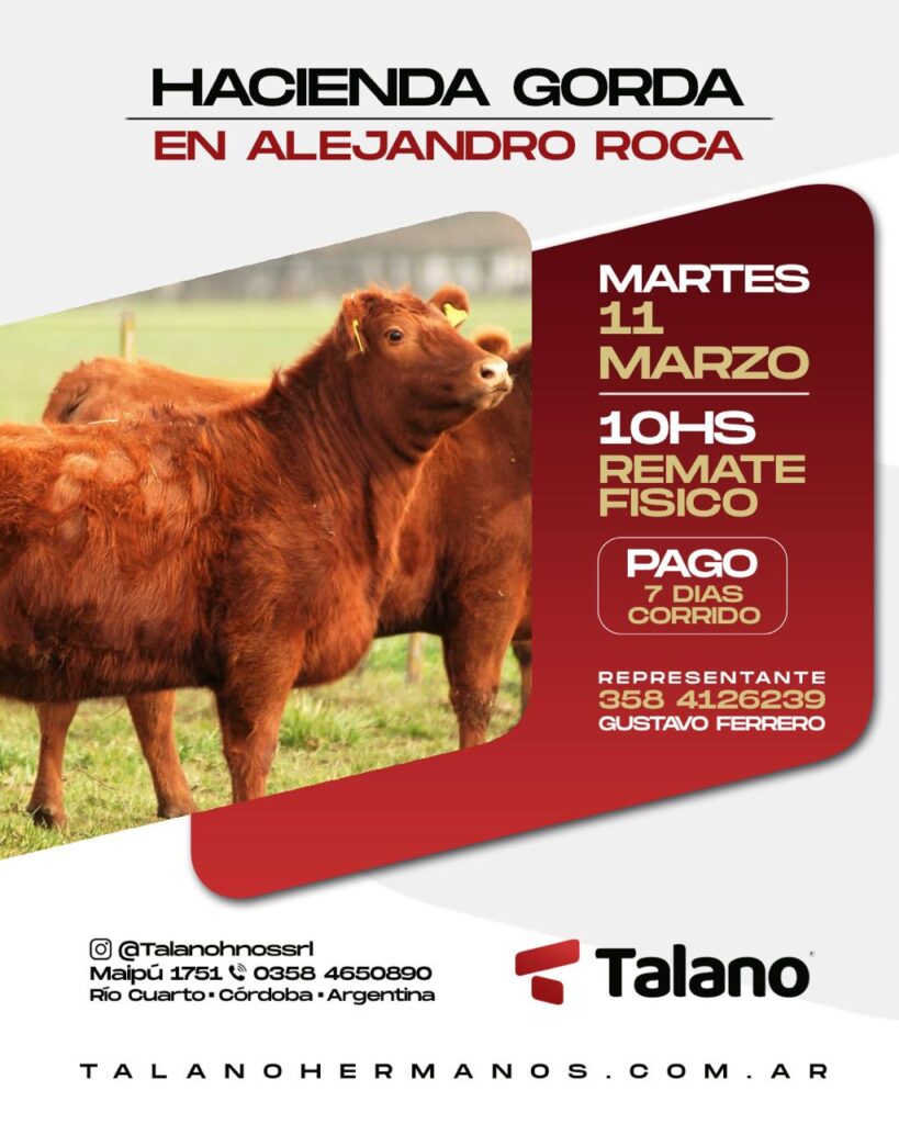 Talano Hermanos | Alejandro Roca | Próximo Remate Feria el Martes 11 de marzo de 2025