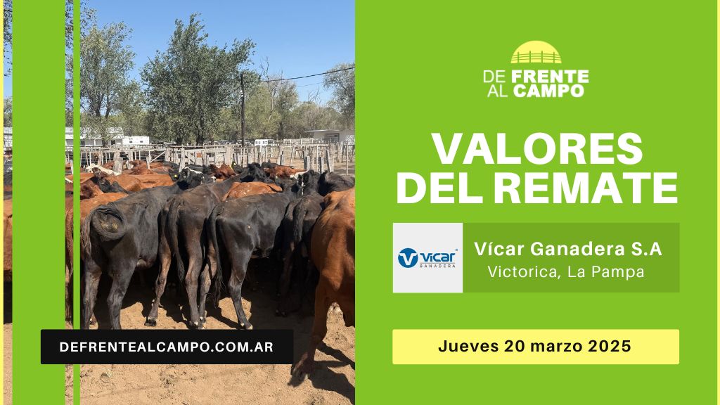 Valores del remate de Vicar Ganadera S.A. | Victorica, La Pampa | Jueves 20/3/2025