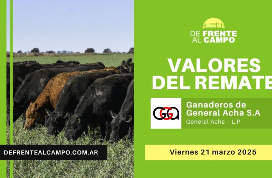 Valores del remate de Ganaderos de Gral. Acha S.A. | Gral. Acha | Viernes 21/03/2025